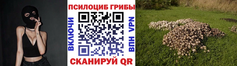 Псилоцибиновые грибы прущие грибы  Талдом 