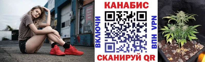 Канабис семена  кракен вход  Талдом 
